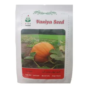 بذر کدو غول سان گرد وانیا سید کد  w33