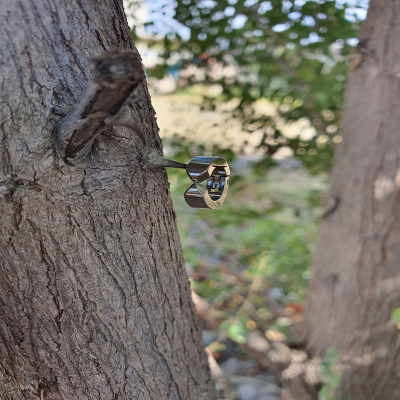 پیرسینگ گوش کد PS240 پیرسینگ گوش کد PS240