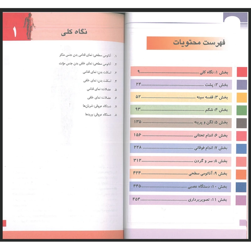 عکس شماره 3 : کتاب اطلس جیبی آناتومی گری 2024 اثر دکتر رضا شیرازی و زهرا عقیقی انتشارات اندیشه رفیع