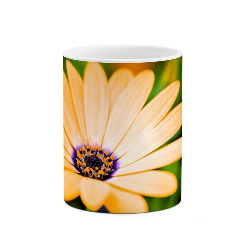 ماگ کاکتی مدل گل کد mgh12091