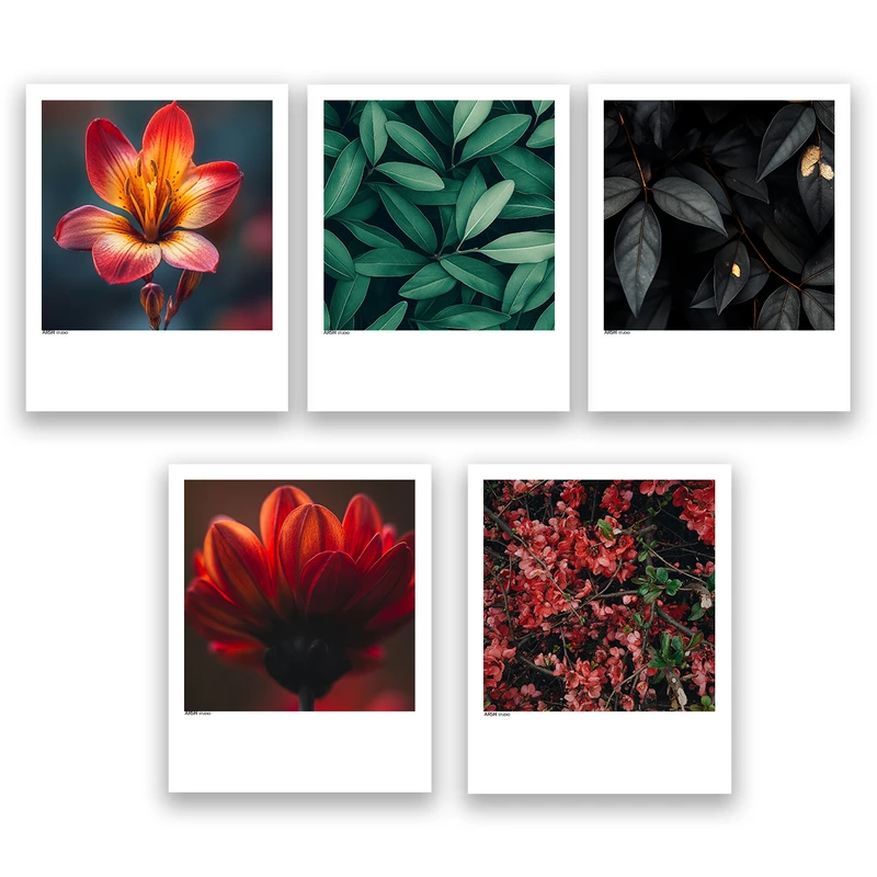 آویز تزیینی عرش مدل فانتزی گل کد Asa959 مجموعه پنج عددی