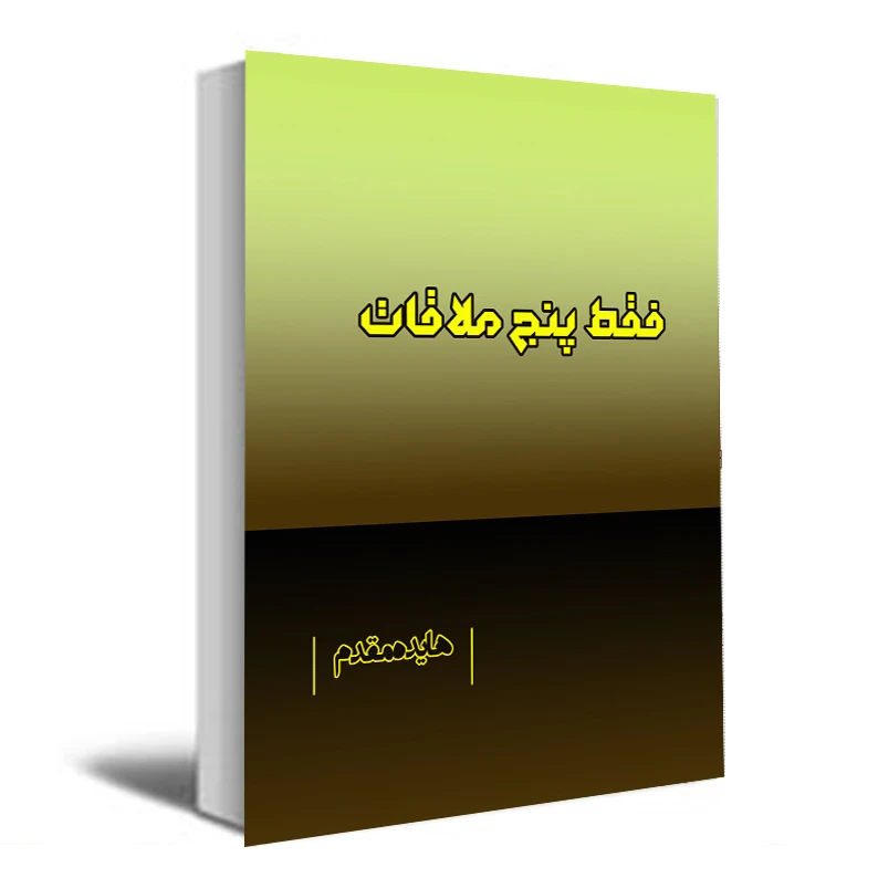کتاب فقط پنج ملاقات اثر فاطمه(هایده) سدادی مقدم انتشارات عصر کنکاش