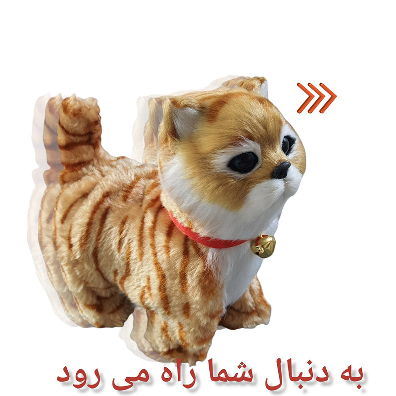 ربات کنترلی مدل گربه کد 45