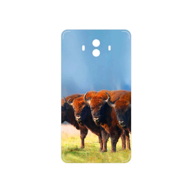 برچسب پوششی ماهوت مدل Buffalo مناسب برای گوشی موبایل هوآوی Mate 10