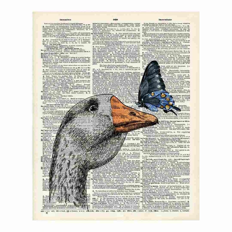 پوستر مدل اردک و پروانه