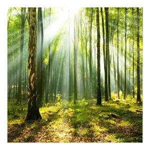 تابلو شاسی مورال طرح T80011  سایز 70x70 سانتی متر