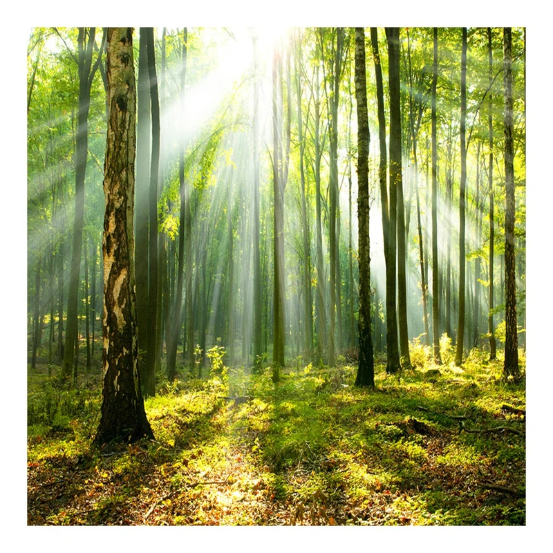 تابلو شاسی مورال طرح T80011  سایز 70x70 سانتی متر