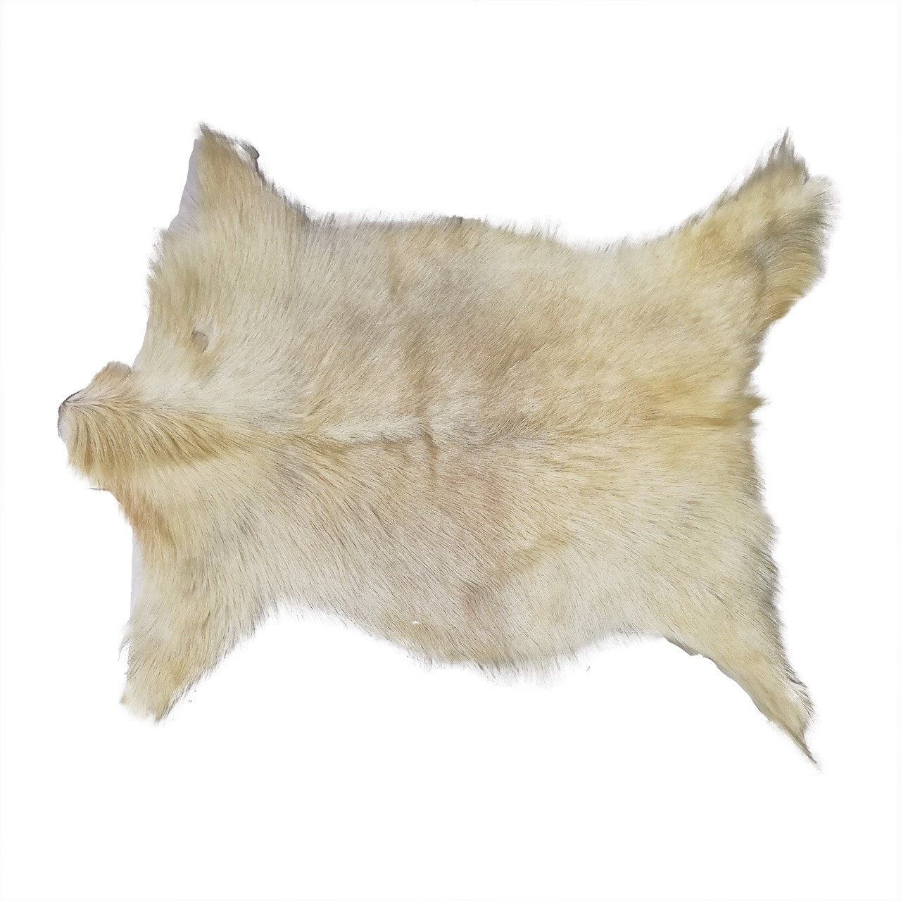 فرش پوست طبیعی کمالی مدل AC-00147