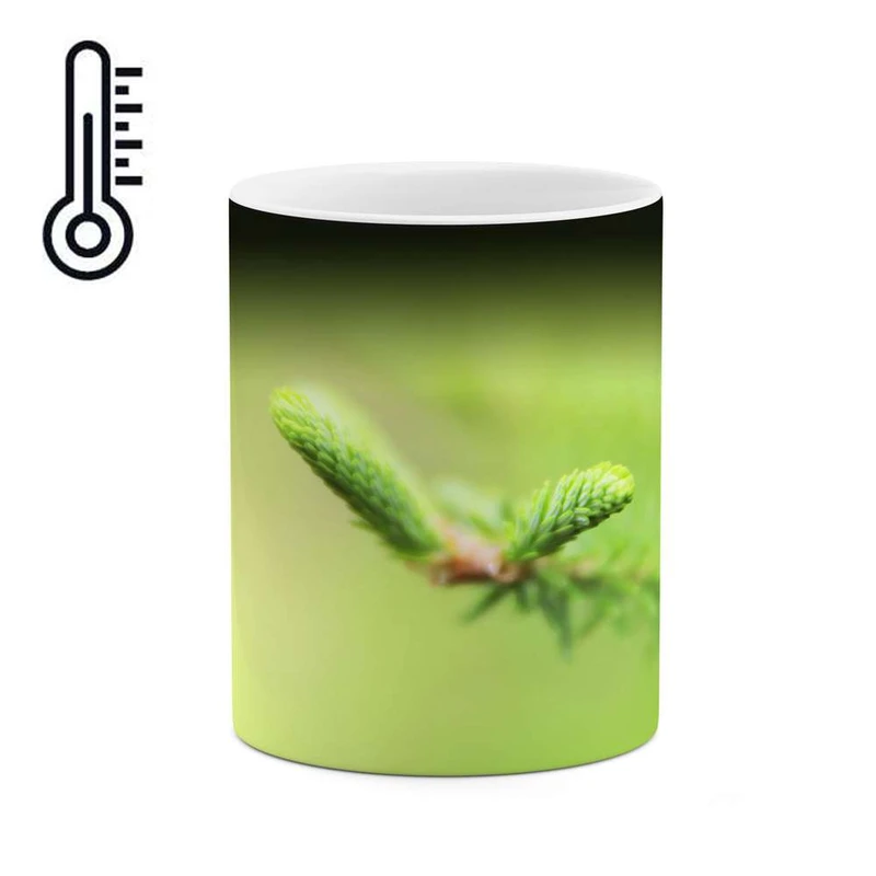 ماگ حرارتی کاکتی مدل فانتزی کد mgh12081