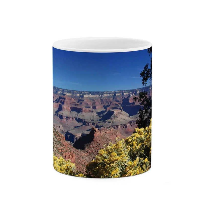 ماگ کاکتی مدل منظره کد mgh10162