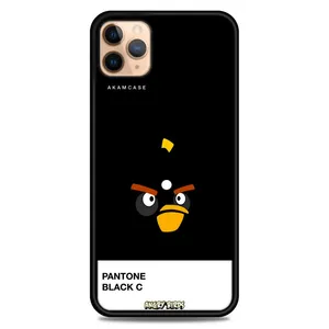 AKAM AMC-WA11PRO-ANGRY BIRDS9 Cover For Apple iPhone 11 Pro