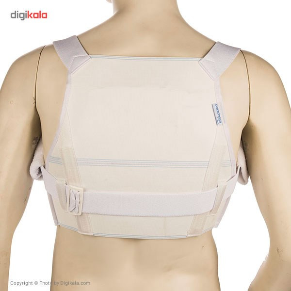 قوزبند پاک سمن مدل Elastic With Towelly Taylor سایز متوسط قوزبند پاک سمن مدل Elastic With Towelly Taylor سایز متوسط