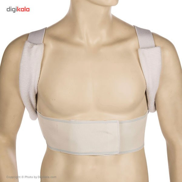 قوزبند پاک سمن مدل Elastic With Towelly Taylor سایز متوسط قوزبند پاک سمن مدل Elastic With Towelly Taylor سایز متوسط