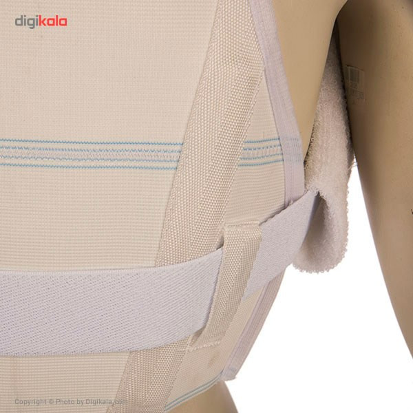 قوزبند پاک سمن مدل Elastic With Towelly Taylor سایز متوسط قوزبند پاک سمن مدل Elastic With Towelly Taylor سایز متوسط
