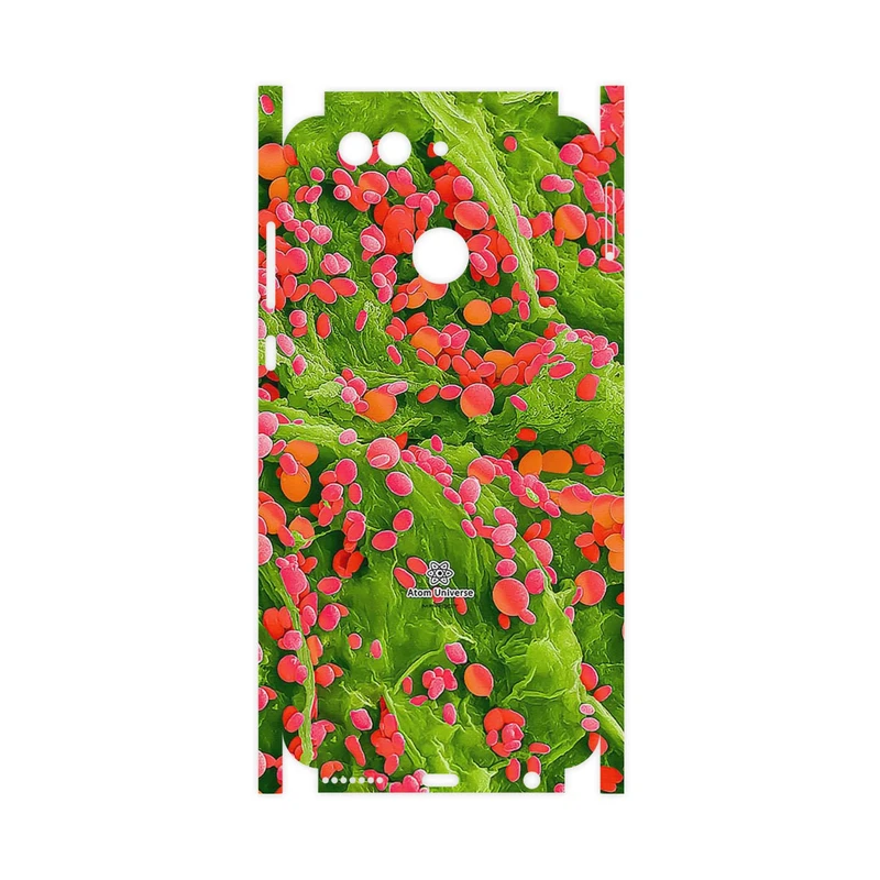 برچسب پوششی ماهوت مدل Atom Universe 3-FullSkin مناسب برای گوشی موبایل هوآوی Nova 2 Plus