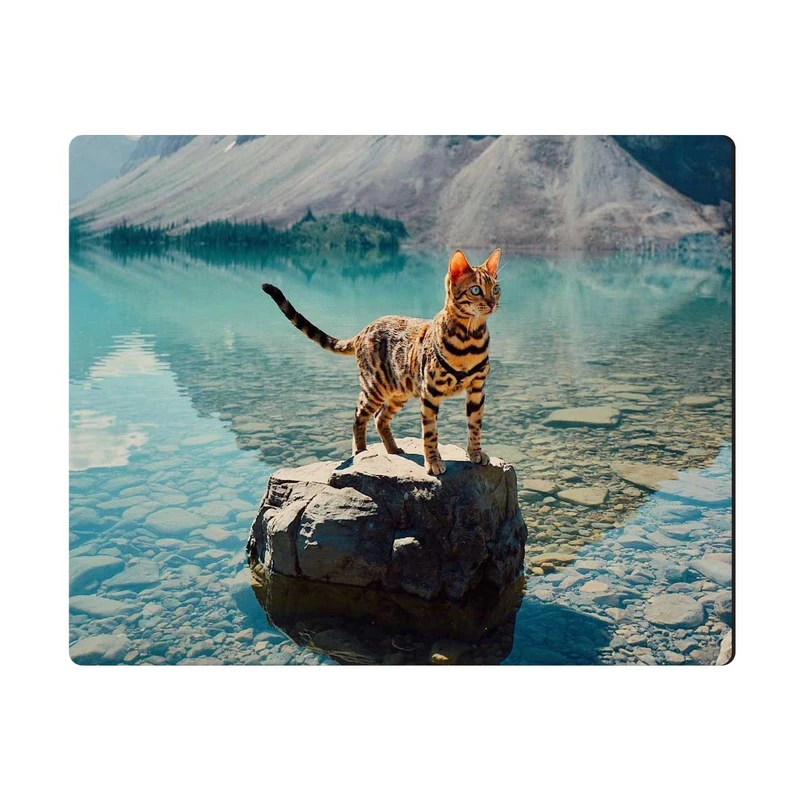 ماوس پد گربه وحشی مدل MPE343