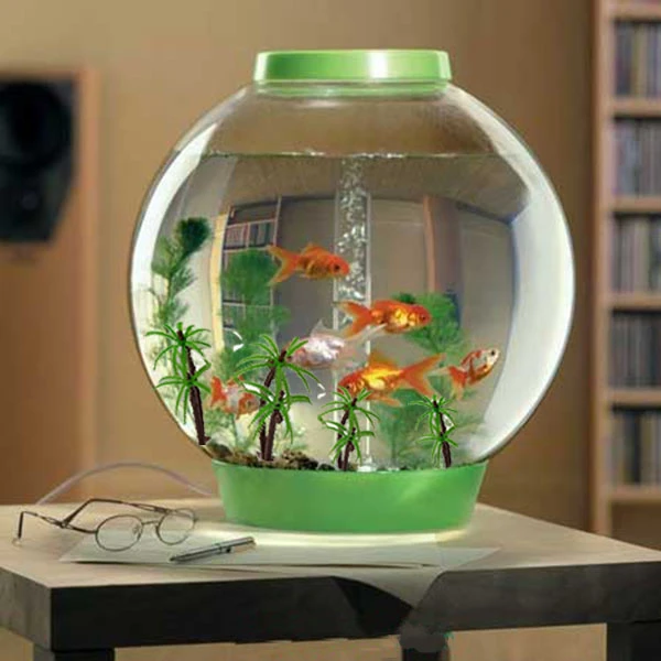 عکس شماره 5 : گیاه تزیینی آکواریوم به گز مدل نخل مجموعه 3 عددی