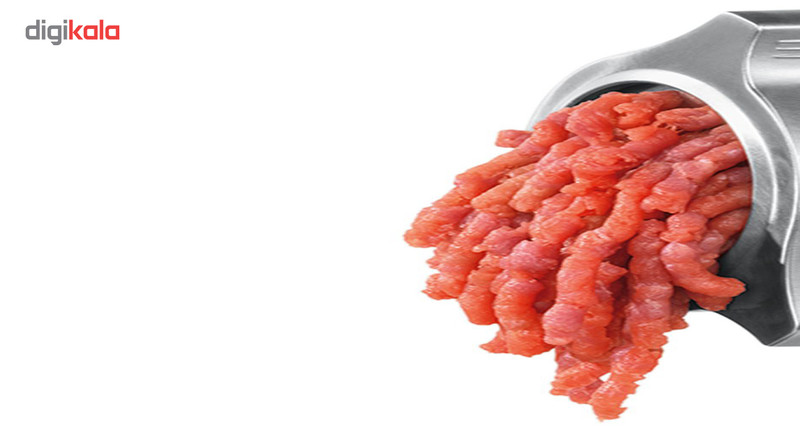 چرخ گوشت دسینی مدل 303