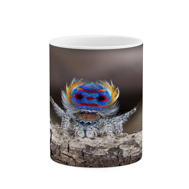 ماگ کاکتی مدل فانتزی کد mgh14298