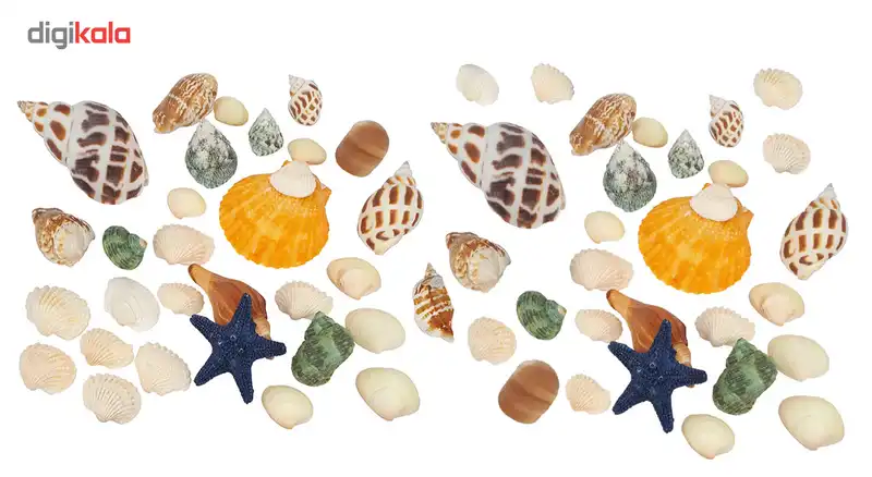 صدف و حلزون تزیینی مدل میکس 25قطعه ای