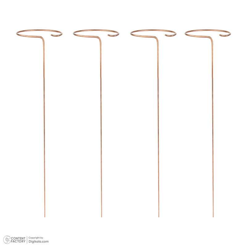 نگهدارنده مدل قیم گل مجموعه 4 عددی