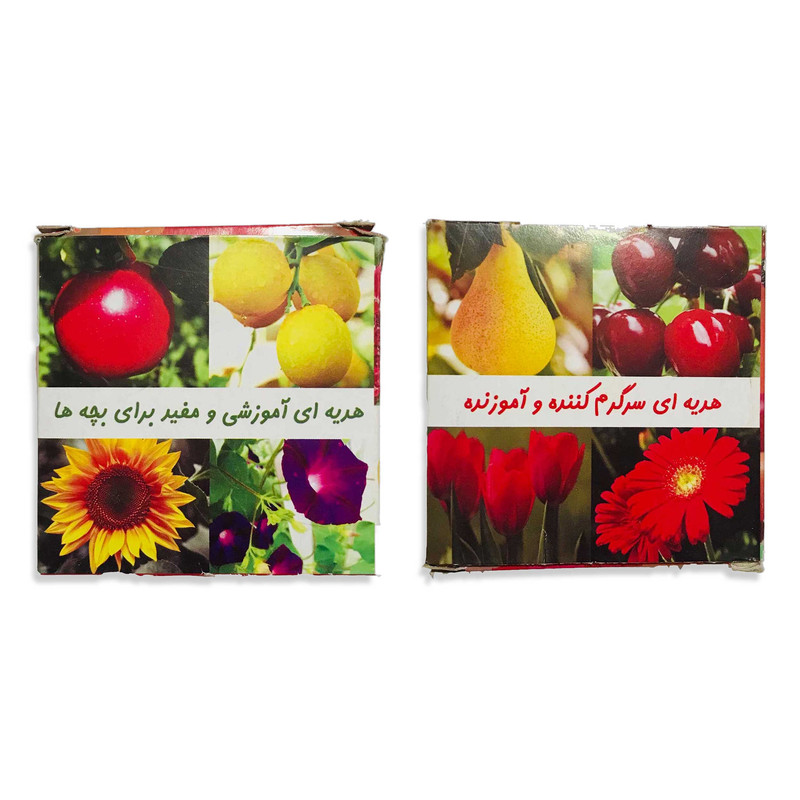 شابلون مدل گل و میوه مجموعه 12 عددی