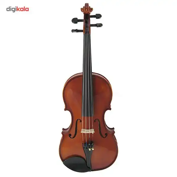 ویولن آکوستیک اشترونال مدل 2050