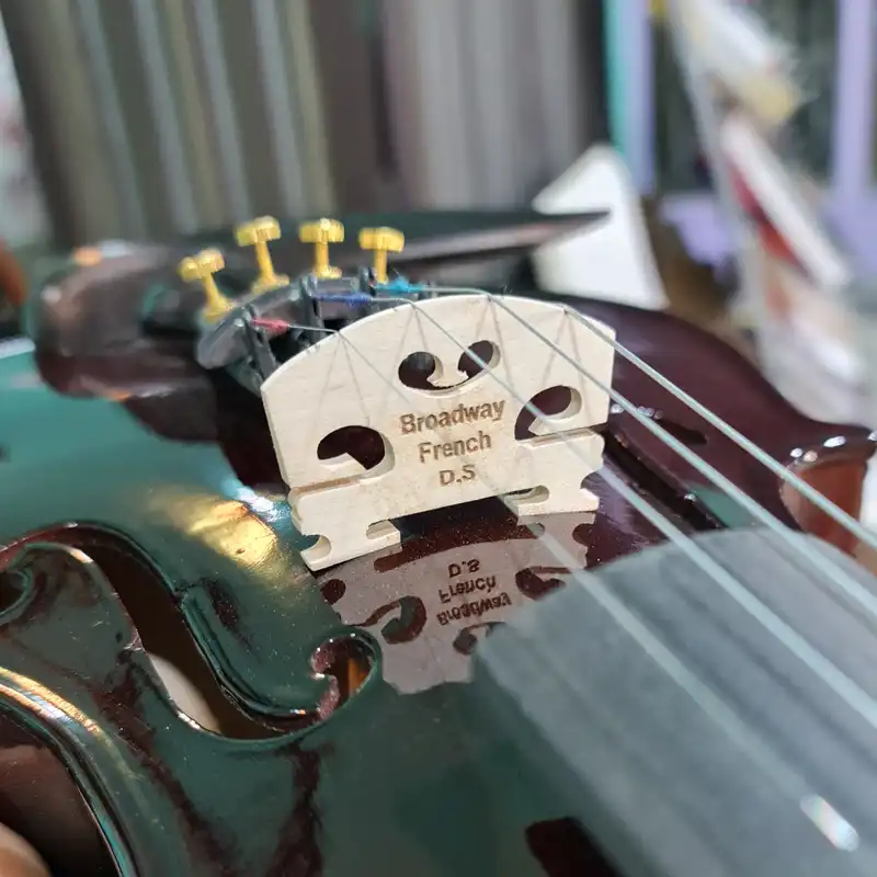 ویولون برادوی مدل M.DS-550