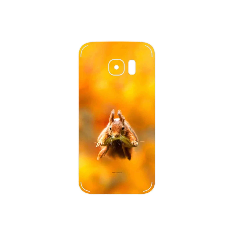 برچسب پوششی ماهوت مدل Squirrel مناسب برای گوشی موبایل سامسونگ Galaxy S7