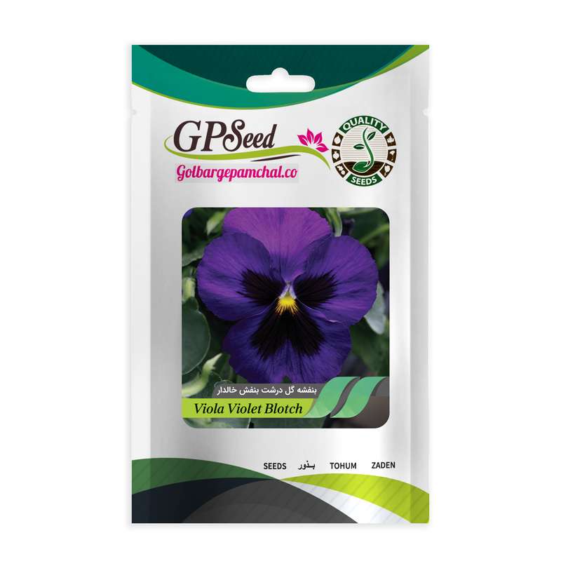 بذر گل بنفشه گل درشت بنفش خالدار گلدانی گلبرگ پامچال کد GPF-026