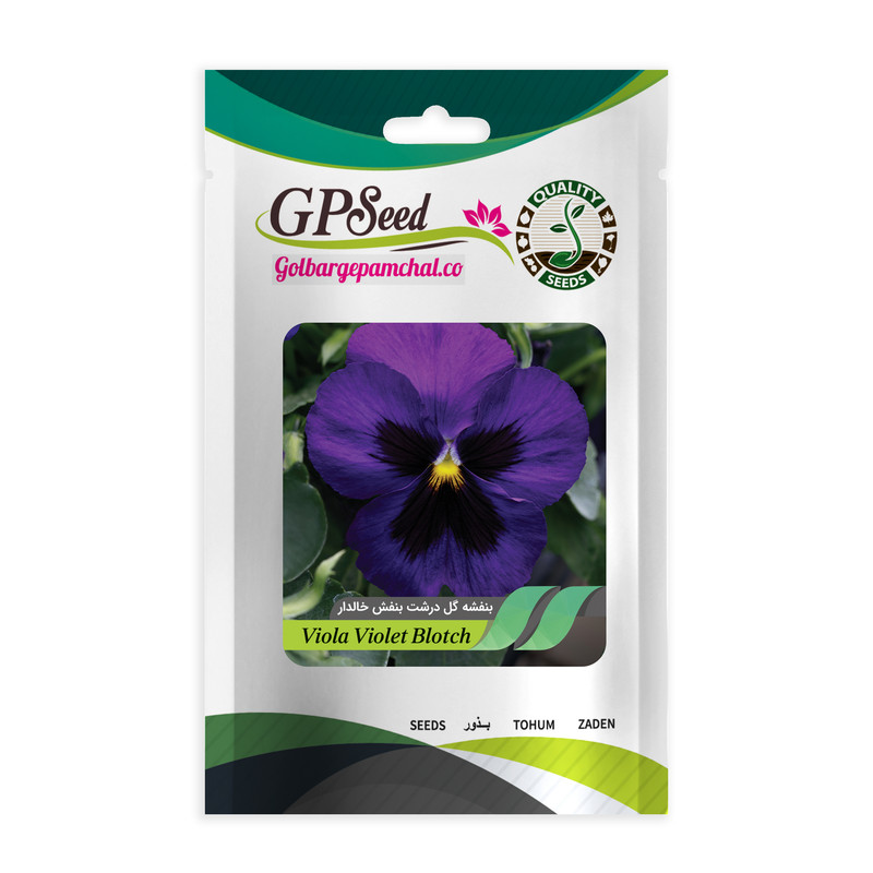 بذر گل بنفشه گل درشت بنفش خالدار گلدانی گلبرگ پامچال کد GPF-026
