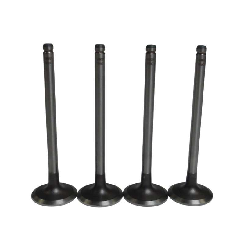 سوپاپ بنزین برند اتوموتور کد AM.99480957 مناسب برای پژو ۴۰۵ بسته ۴ عددی