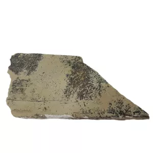 سنگ راف شجر فسیلی مدل تزیینی و آکواریوم کد 165
