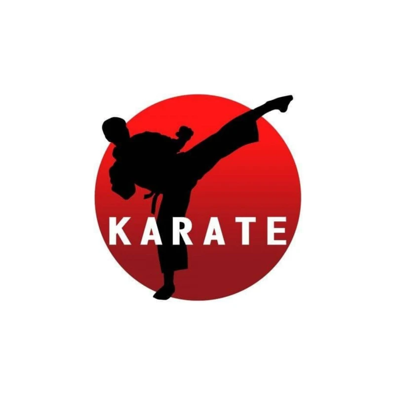 استیکر پارچه و لباس پاد آفرین مدل رشته ورزشی کاراته کد 306