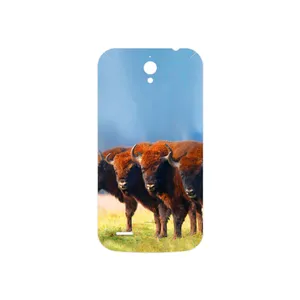 MAHOOT Buffalo Cover Sticker for Huawei Ascend G610