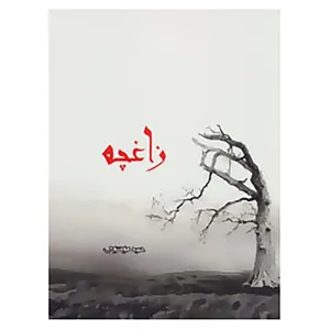 کتاب زاغچه اثر حمید موسوی