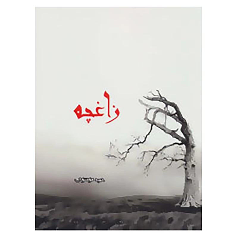 کتاب زاغچه اثر حمید موسوی