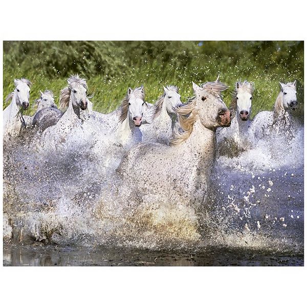 پازل 1000 تکه ادوکا مدل White Camargue Horses پازل 1000 تکه ادوکا مدل White Camargue Horses