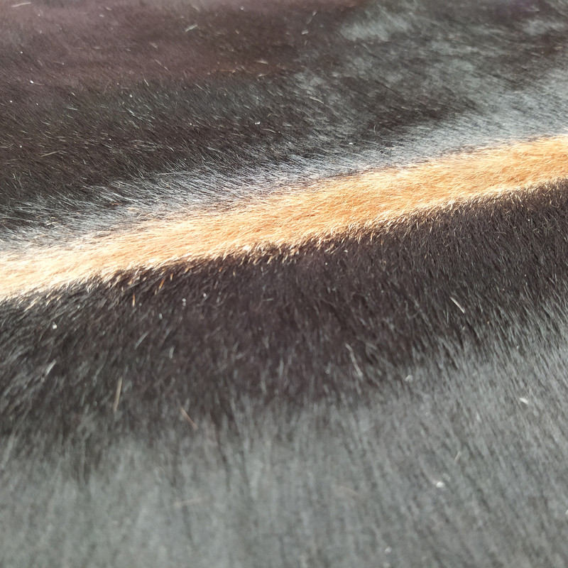 فرش پوست و چرم کمالی مدل AA-0742