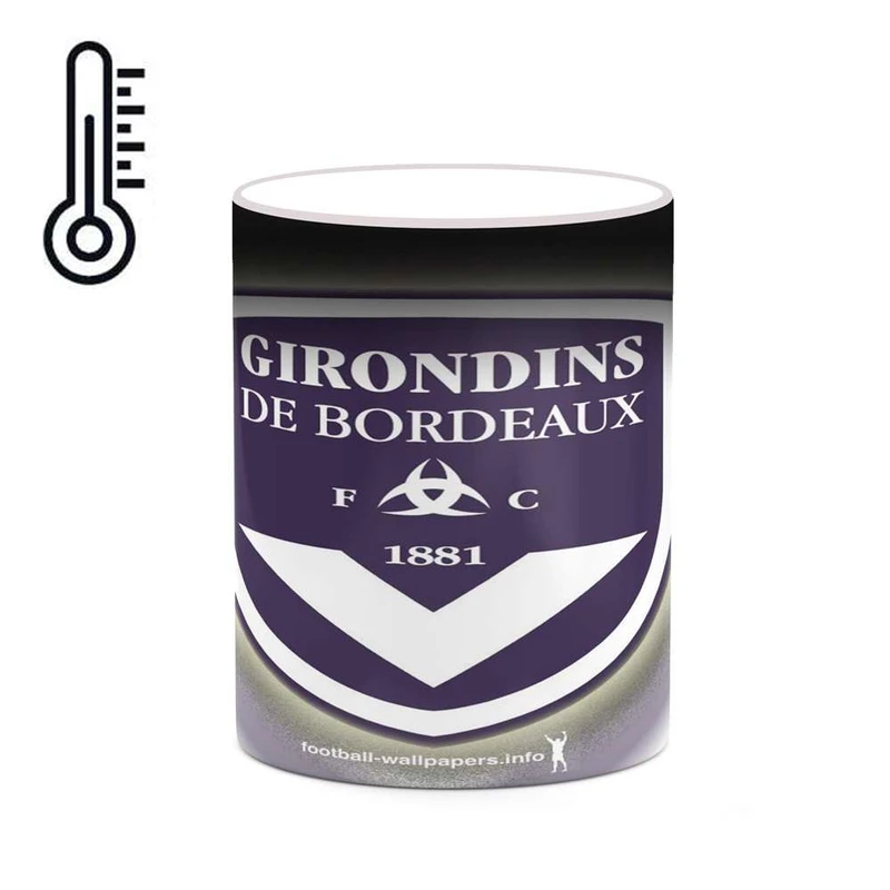 ماگ حرارتی کاکتی مدل تیم Bordeaux2 کد mgh19720