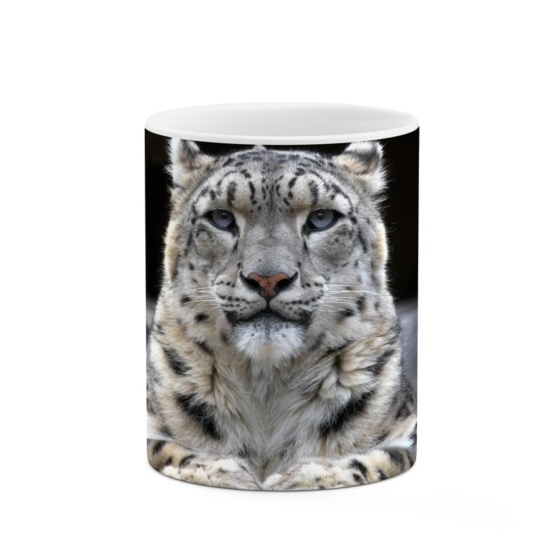 ماگ کاکتی طرح یوزپلنگ فکر کنم کد mgp12649