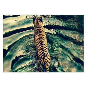 Wensoni Tiger Peacful Swim Chassis 40 x 30