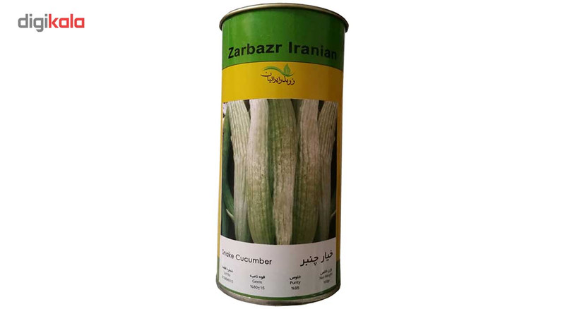 بذر خیار چنبر زر بذر ایرانیان قوطی 100 گرمی کد GH100g-16
