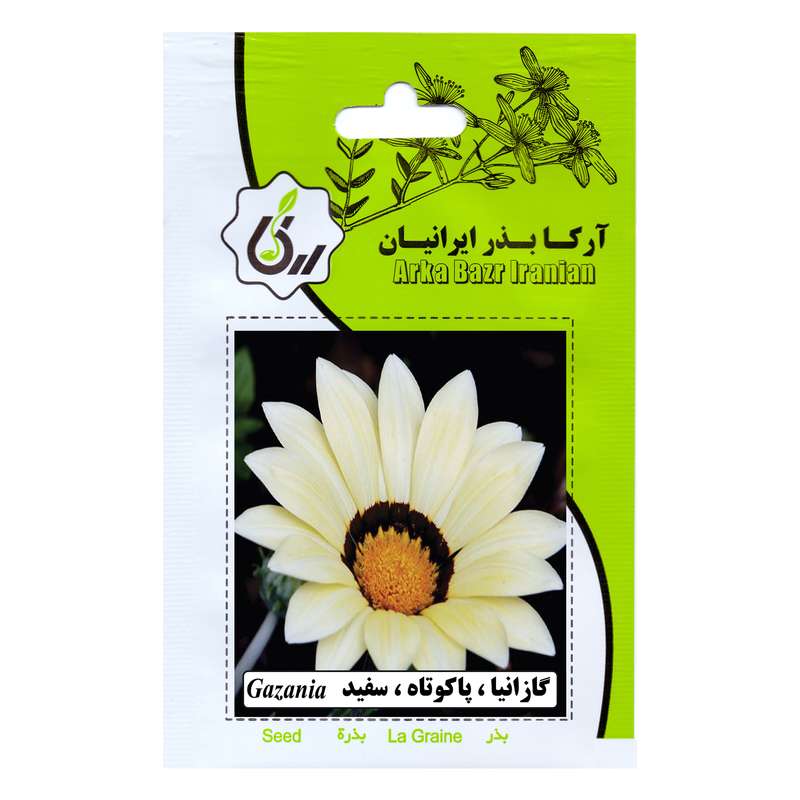بذر گازانیا پا کوتاه سفید آرکا بذر ایرانیان مدل A