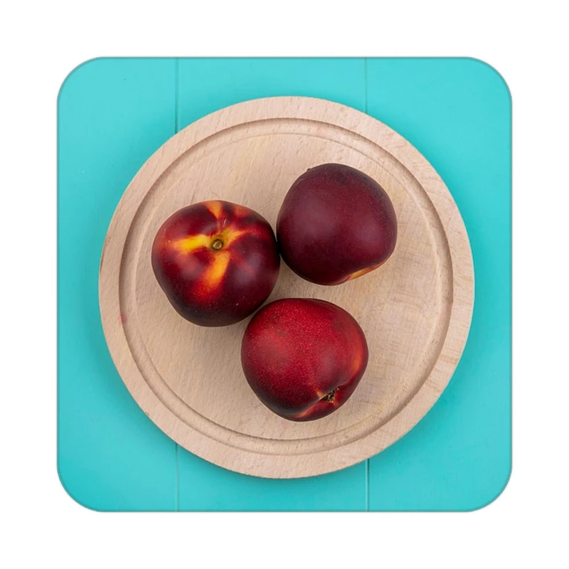 زیر لیوانی کاکتی طرح میوه مدل mp22475