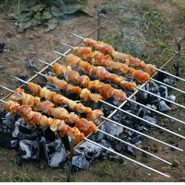 منقل سفری مدل حیران بسته 10 عددی