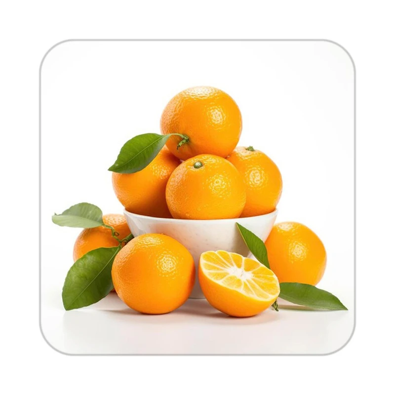 زیر لیوانی کاکتی طرح میوه مدل mp21747