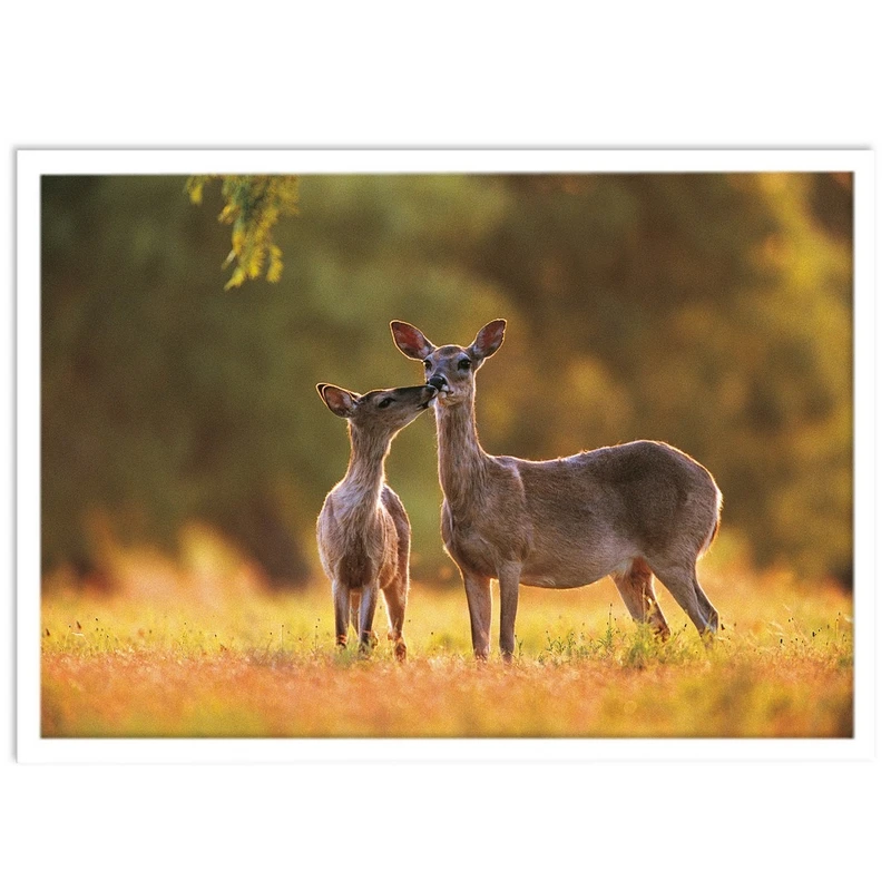 تابلو بکلیت طرح منظره حیات وحش مدل W-S1453