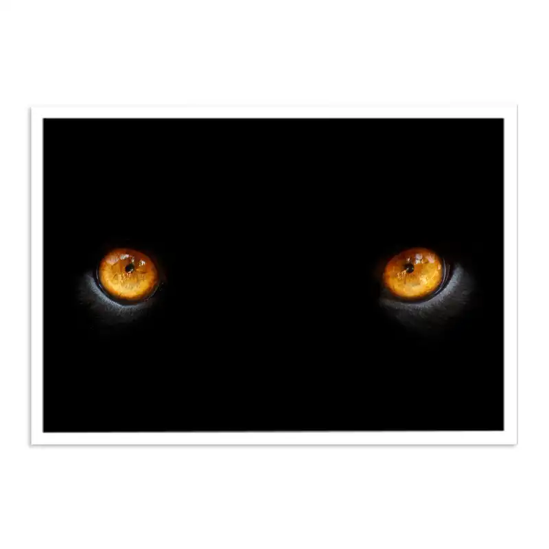 تابلو بکلیت طرح چشم پلنگ مدل W-s719