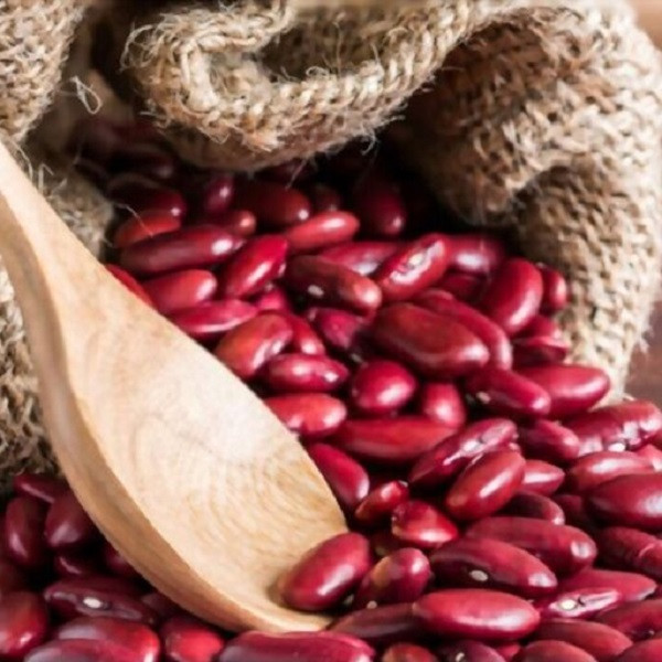 بذر لوبیا قرمز جی پی سید مدل GP12941 بذر لوبیا قرمز جی پی سید مدل GP12941